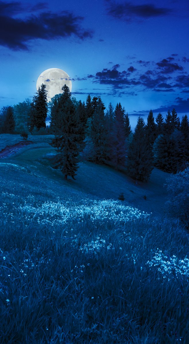 a field with trees and grass is lit up by a full moon