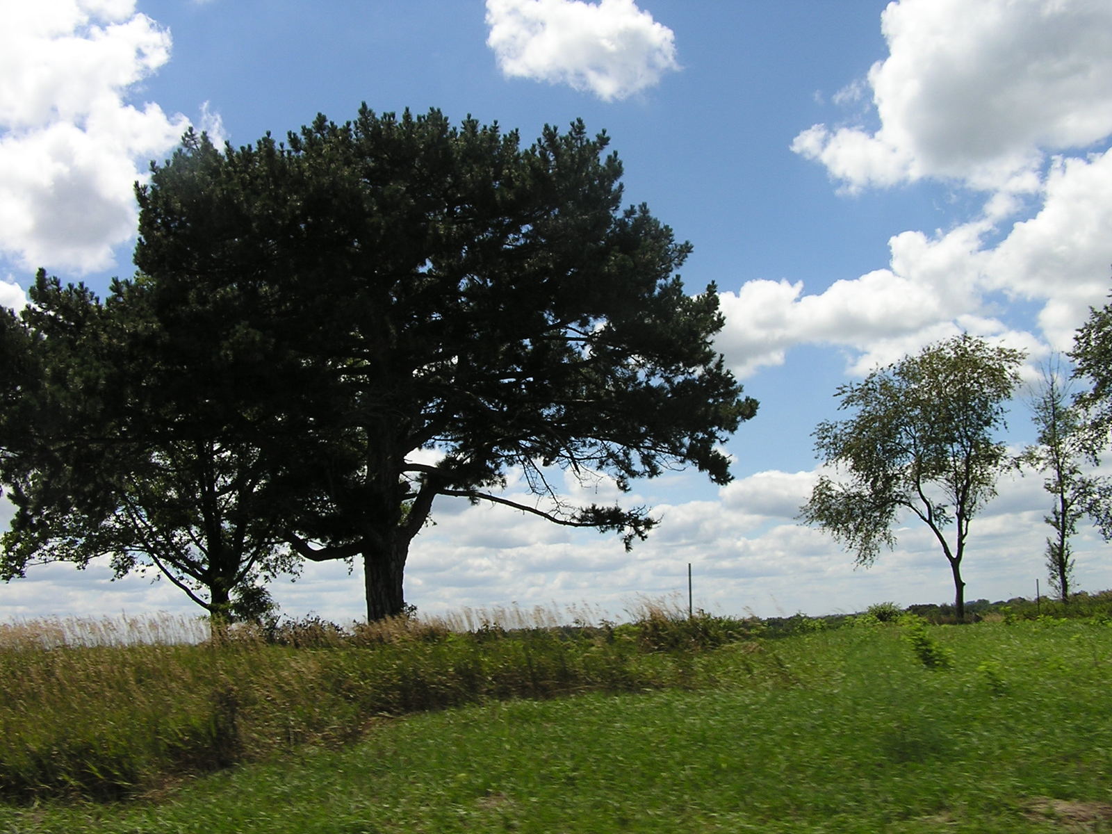 a lush green field under a blue sky with clouds