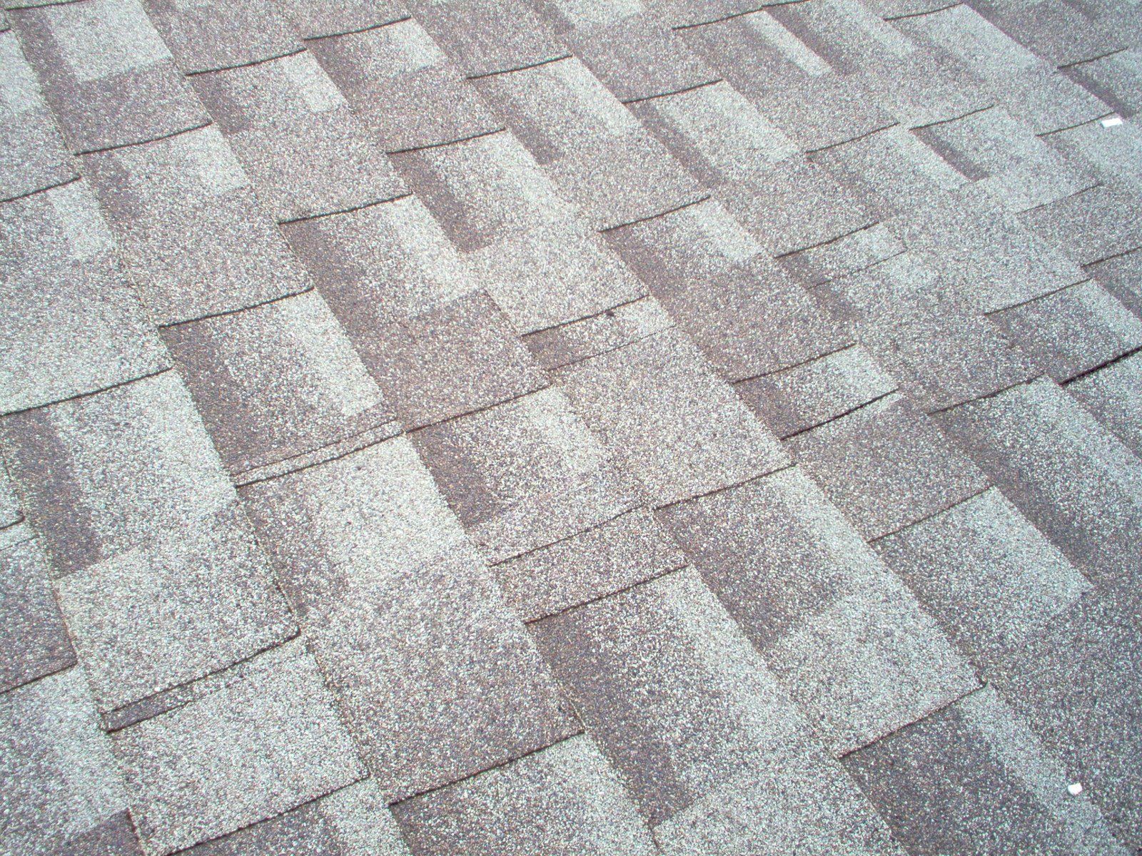 two birds perched on a roof top facing each other