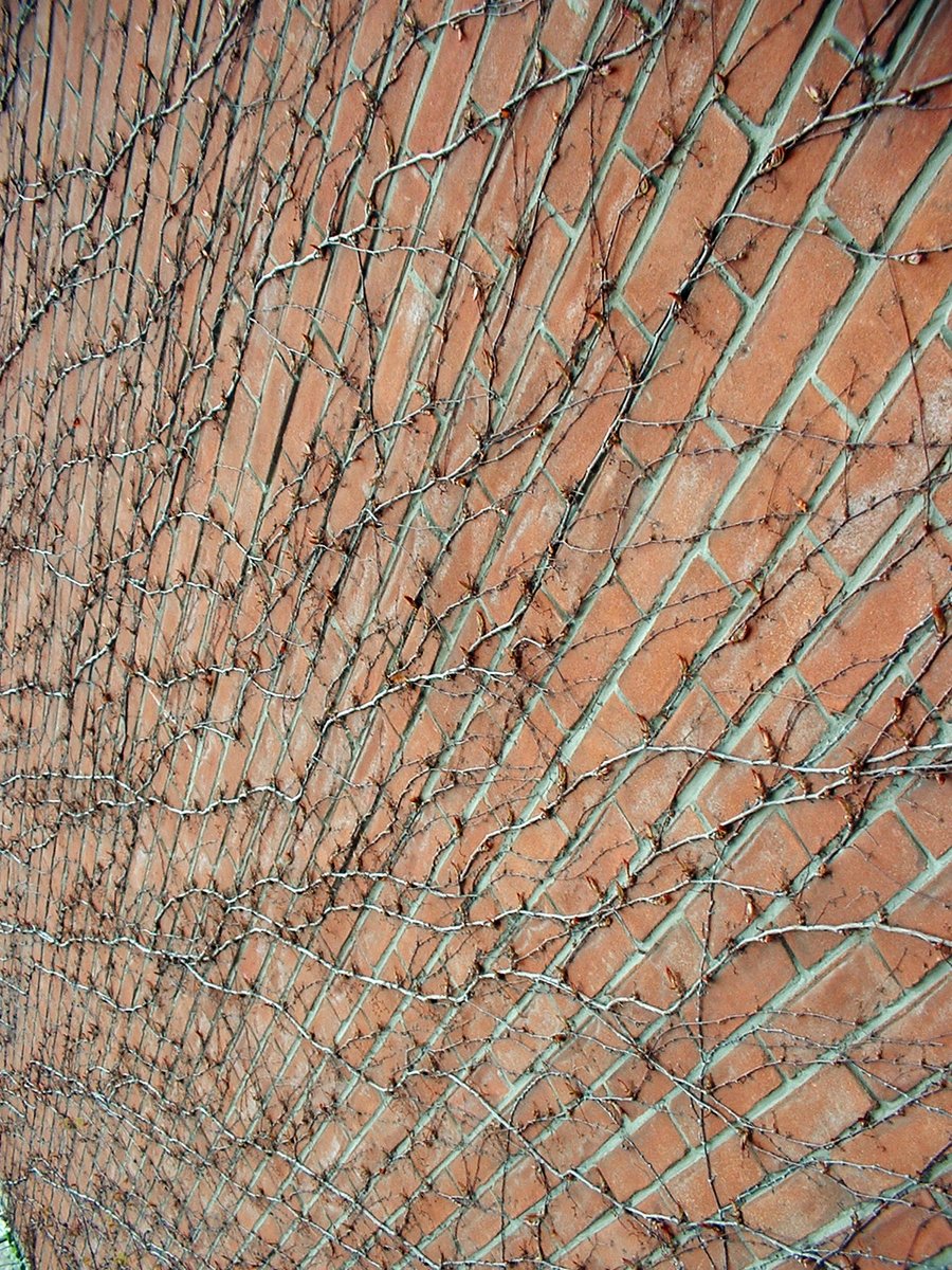 red brick wall behind fence and barbed wire