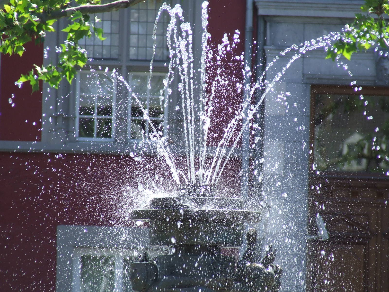 there is a fountain outside by some trees