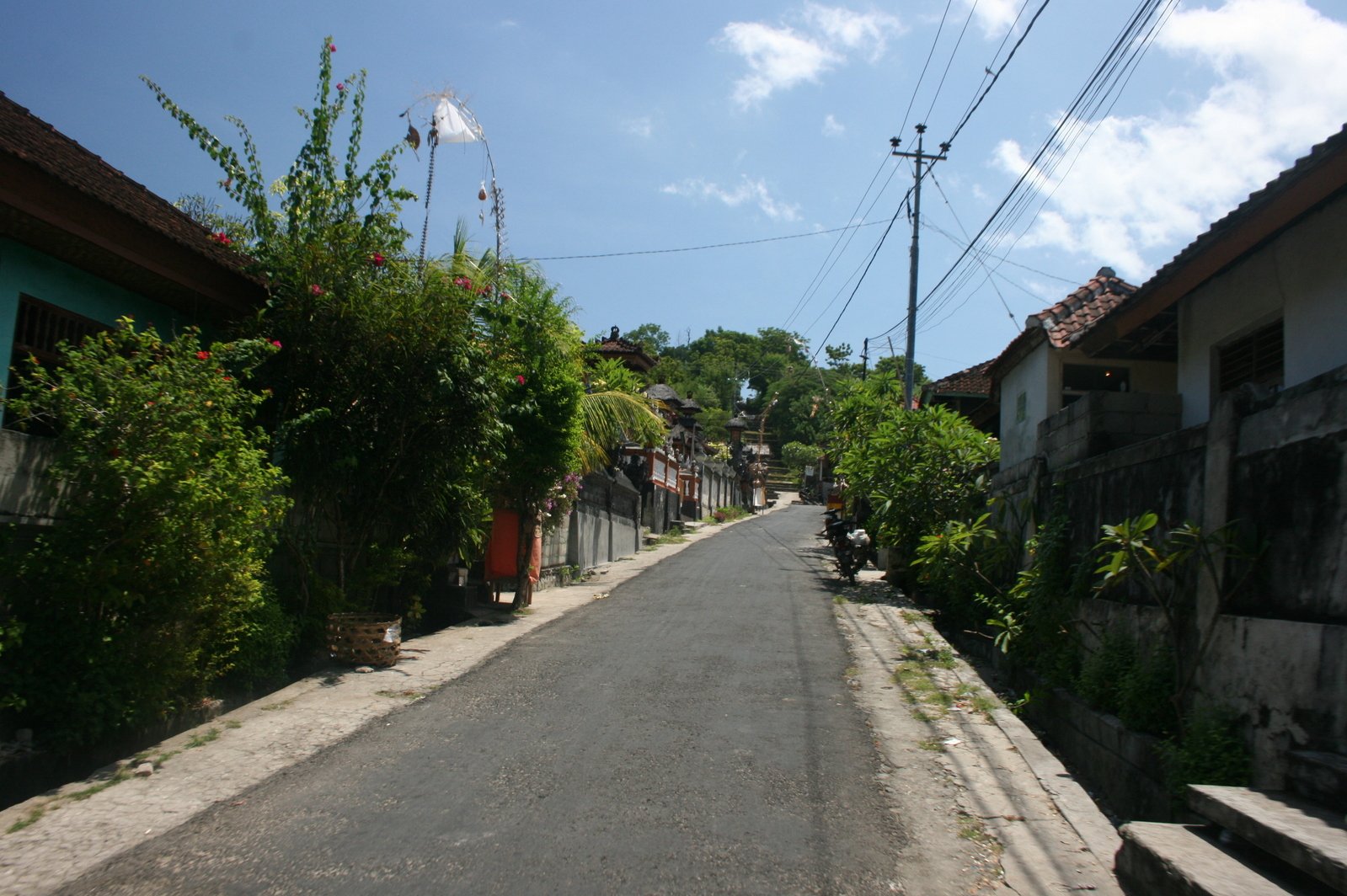 a paved street in a small village with lots of greenery and building