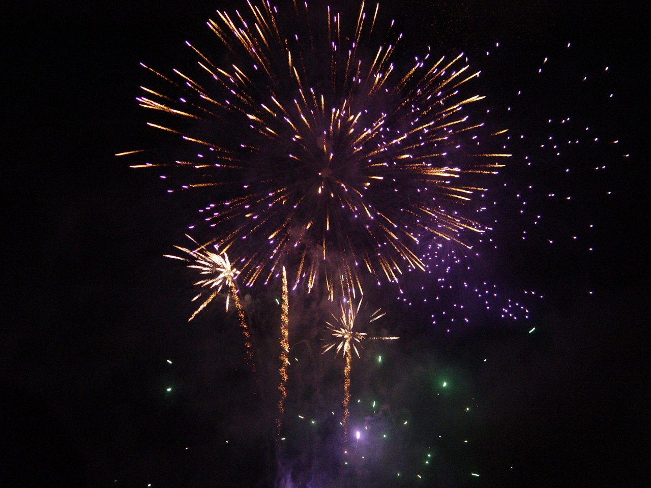 a big colorful fireworks going off into the night sky