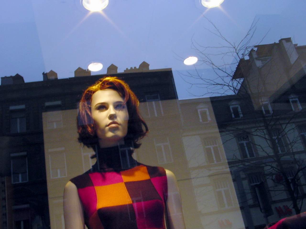 the woman's hair is wearing a multi - colored plaid dress