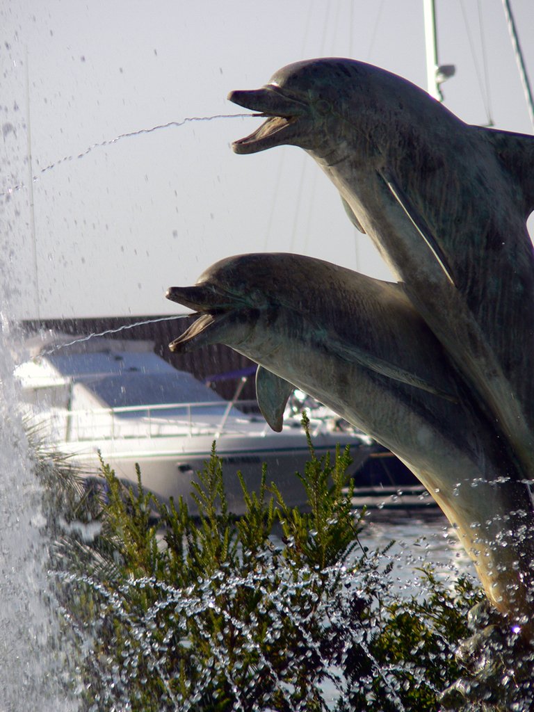 the dolphins are spraying up water out of their mouths