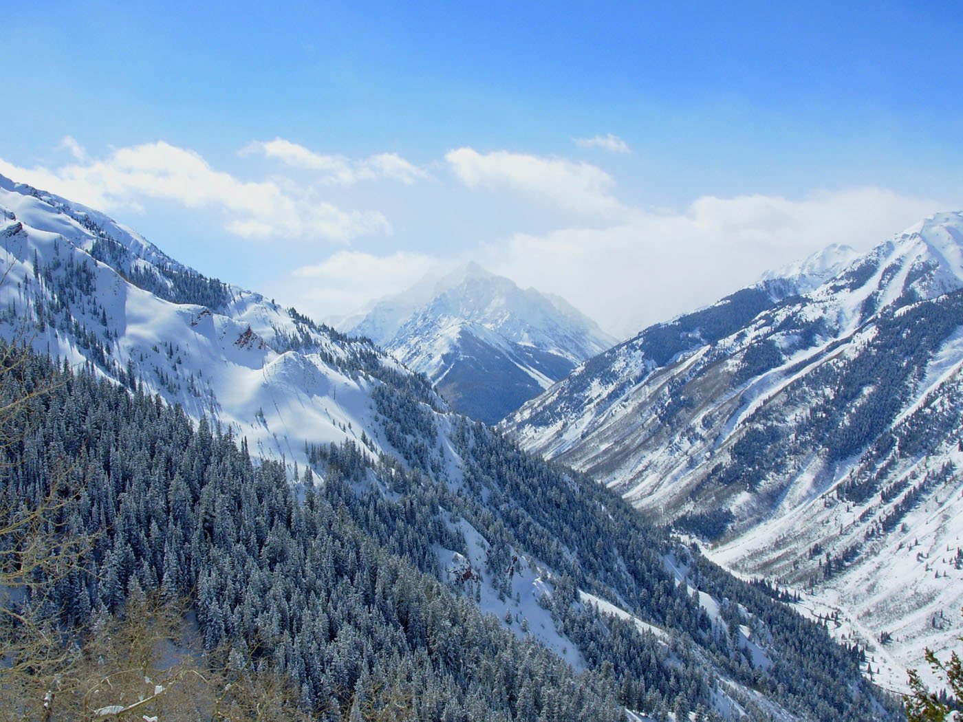 some snow trees and some mountains under a blue sky