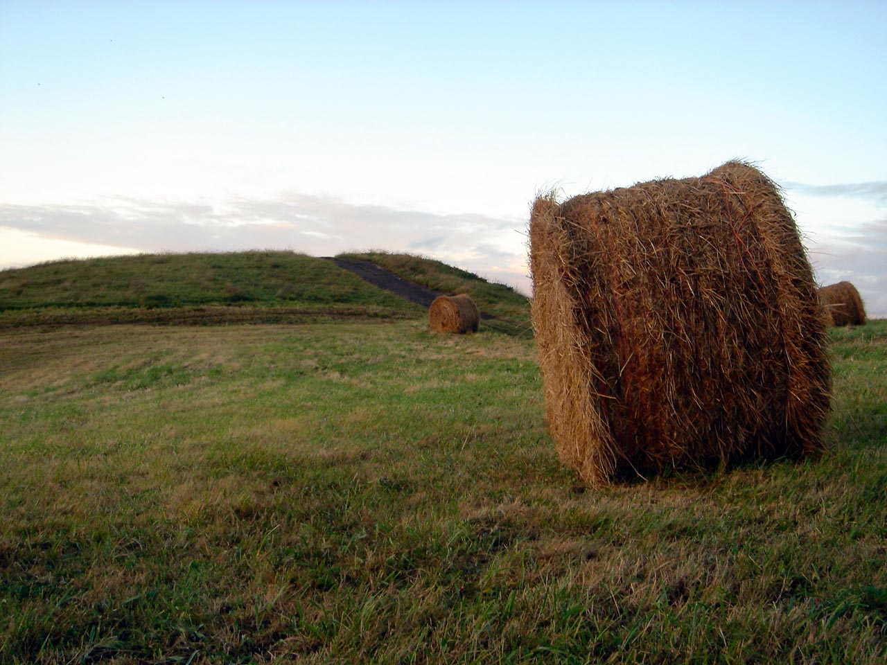 bales in the field with an island behind it