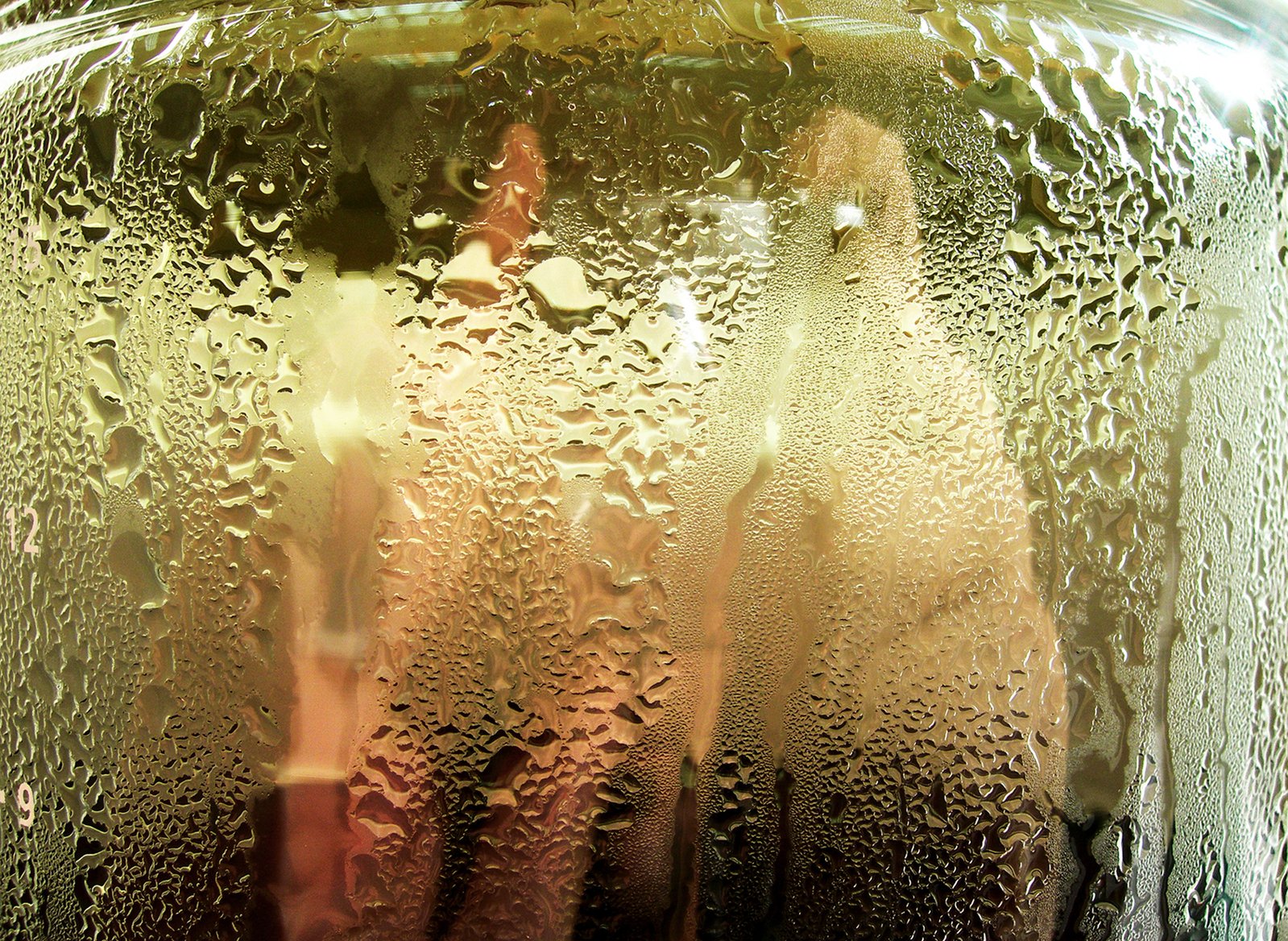the bottom part of a large glass vase filled with water