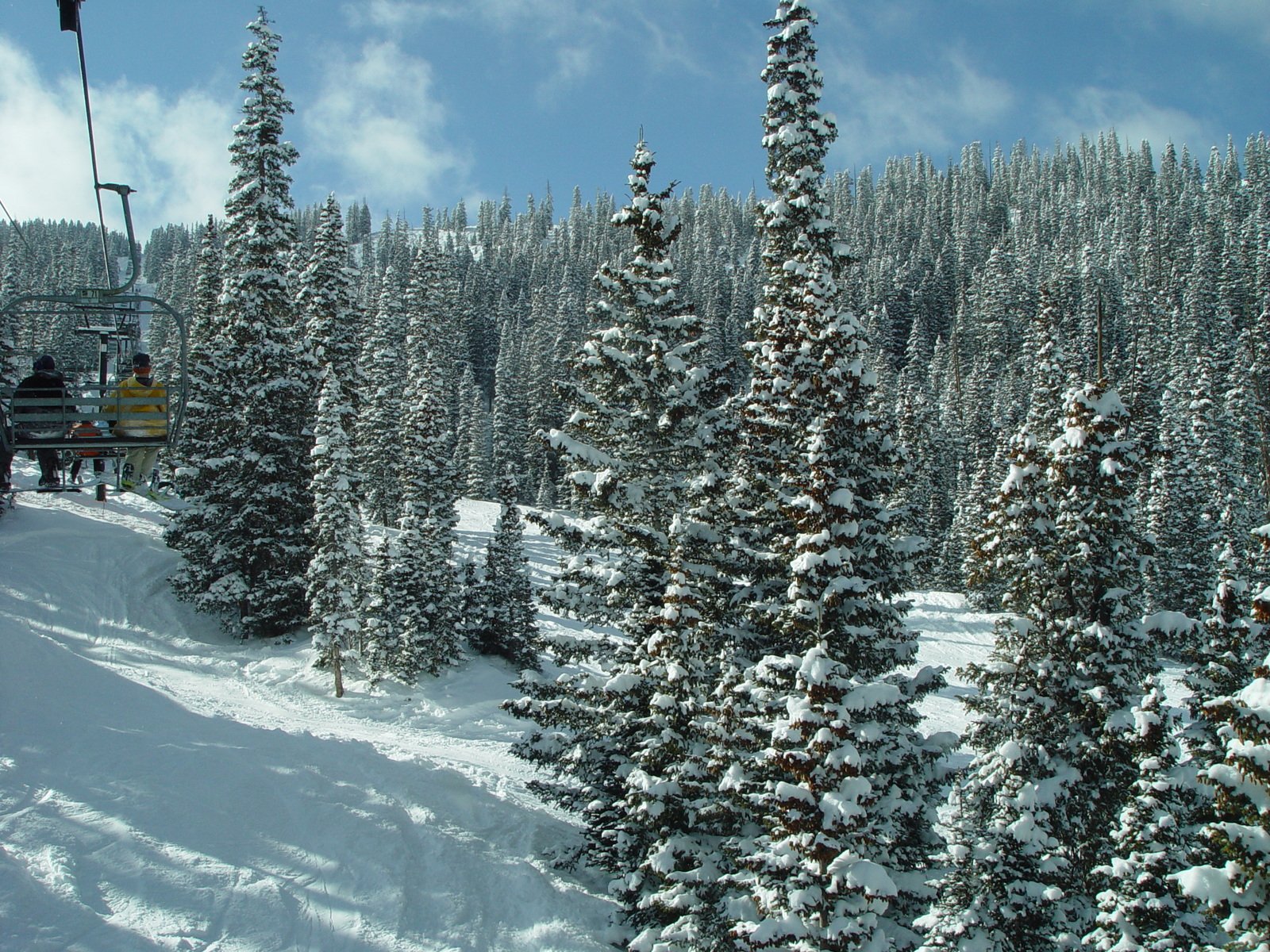 a man riding a snowboard on top of snow covered trees