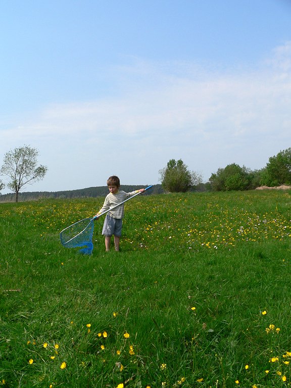 a small boy holding a baseball bat standing in a field of wildflowers