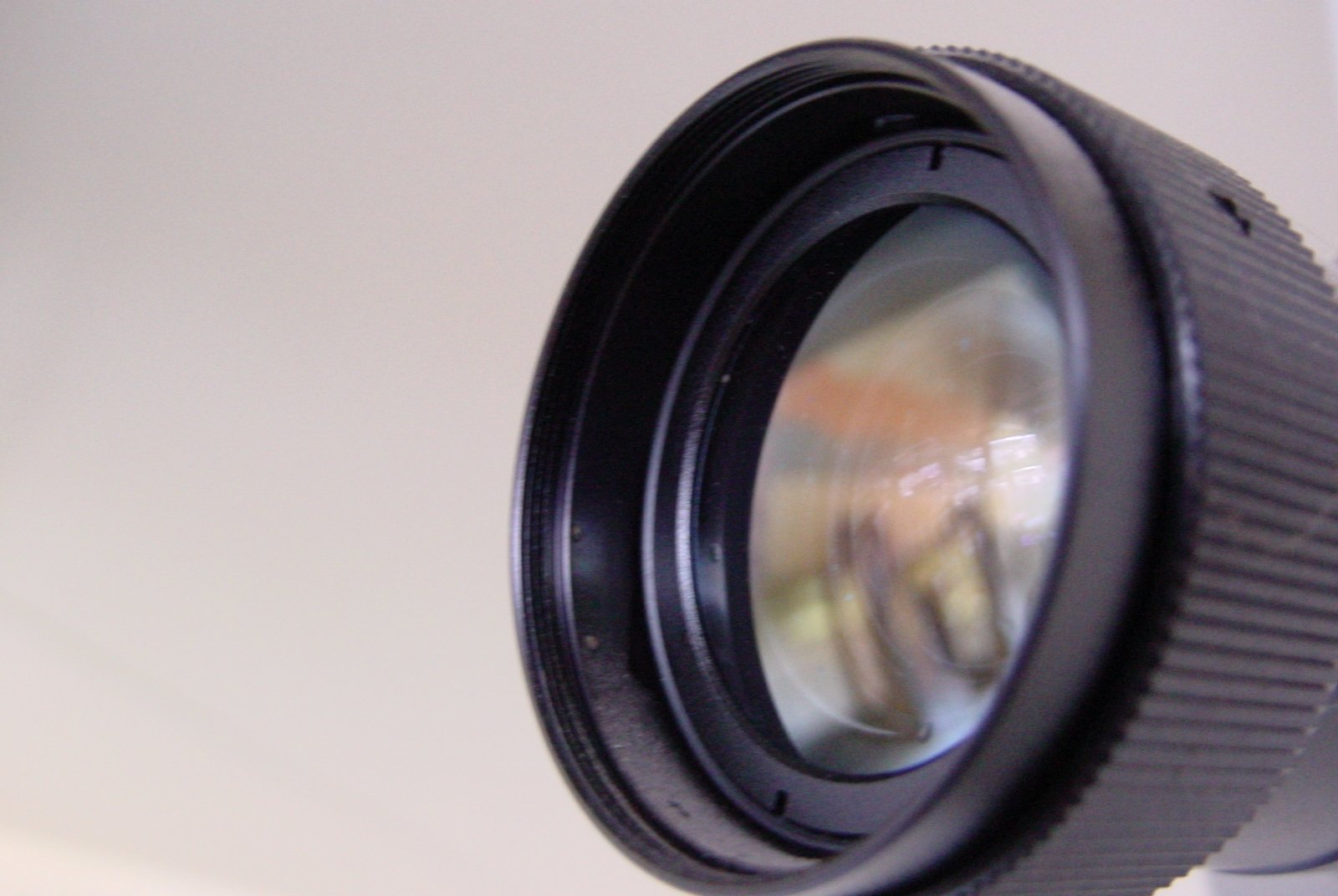 a lens in focus showing an animal on the camera body