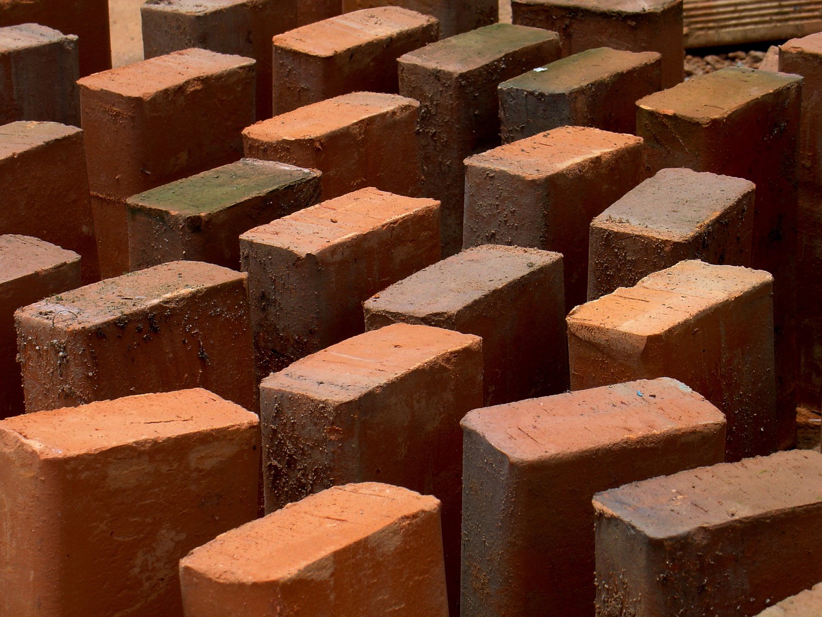 bricks with green caps sit together in rows