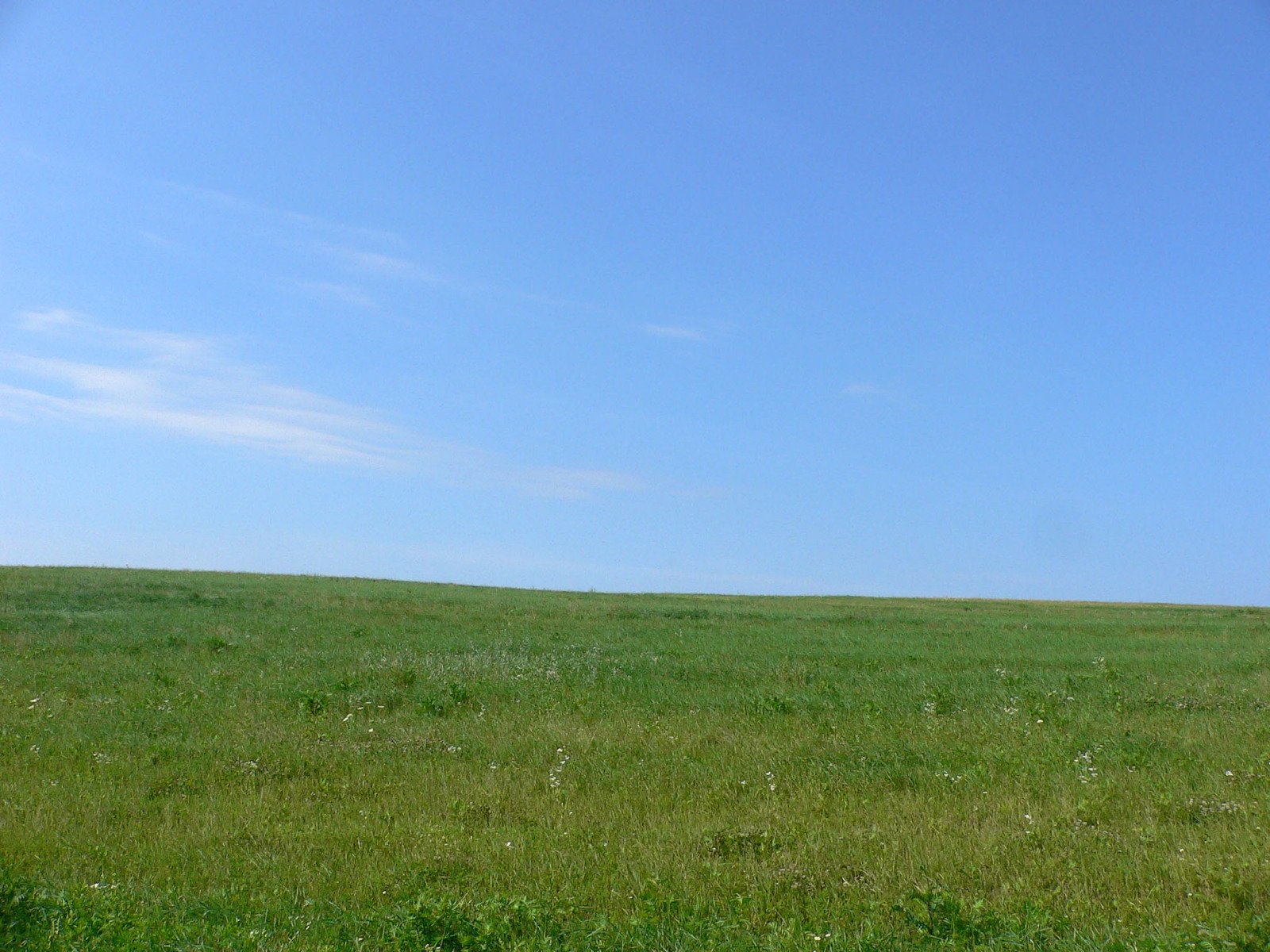a person flying a kite over a green field