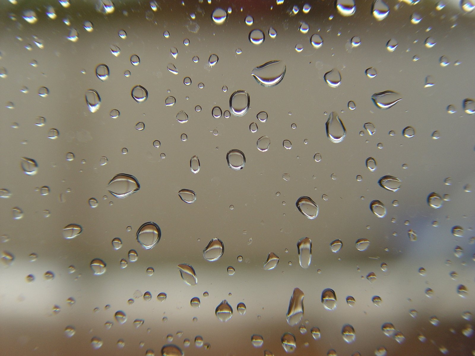 rain drops are shown on the window pane