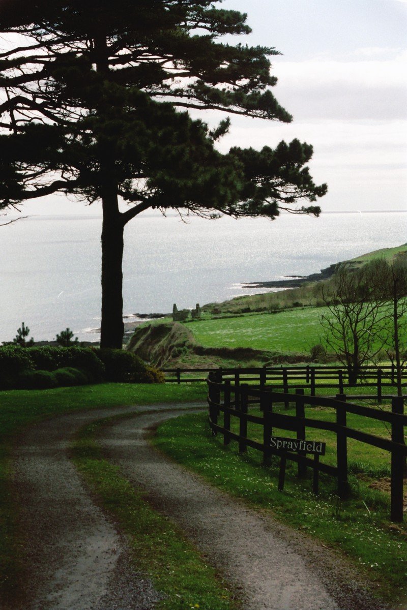 a dirt road next to a green field near the ocean