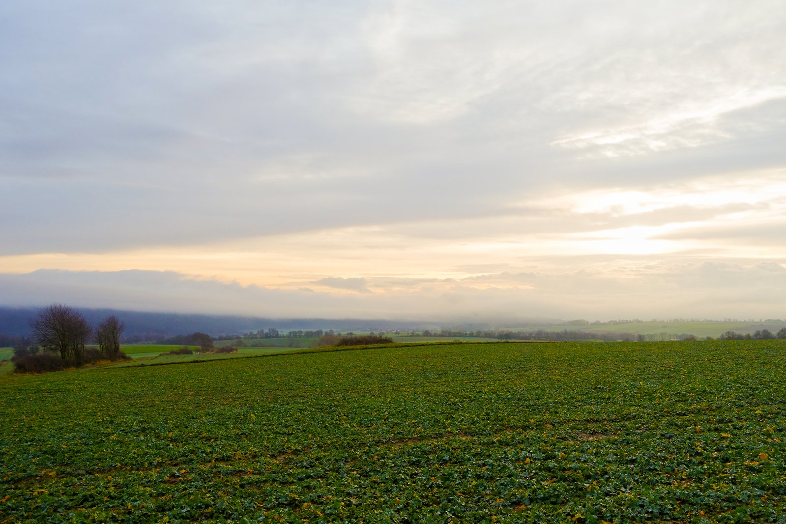 a cloudy sky over a farm area at sunrise