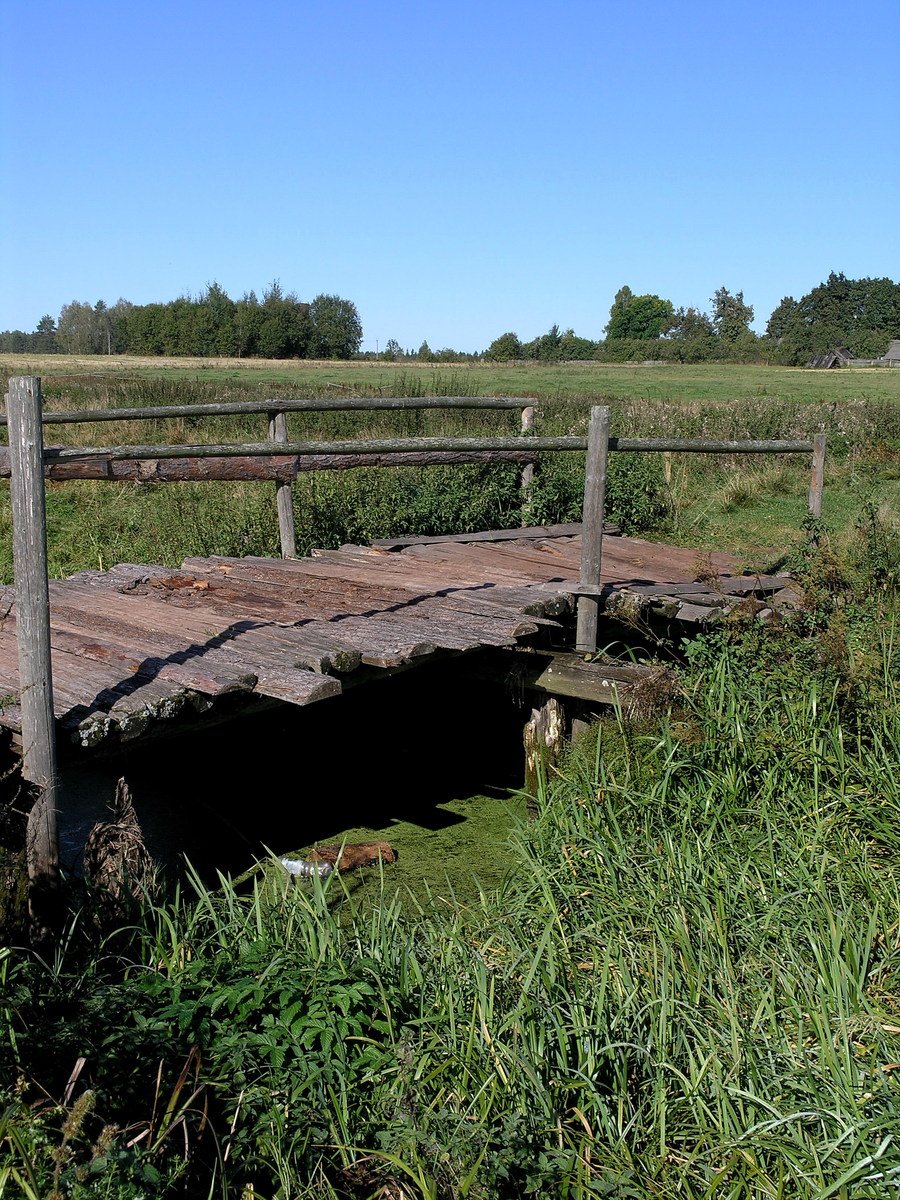 the wooden bridge is near the grass and trees