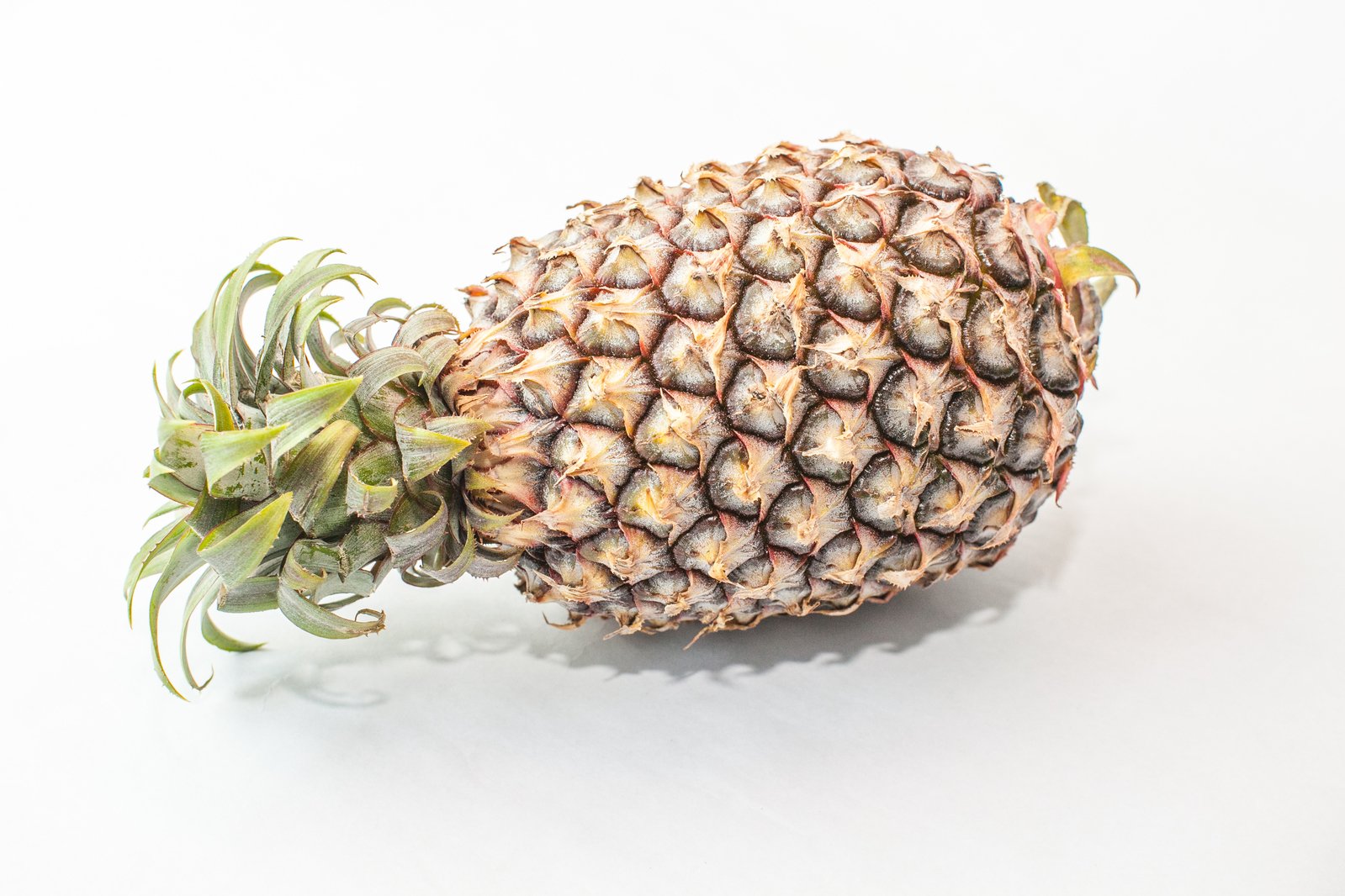 a close up of a small pineapple fruit