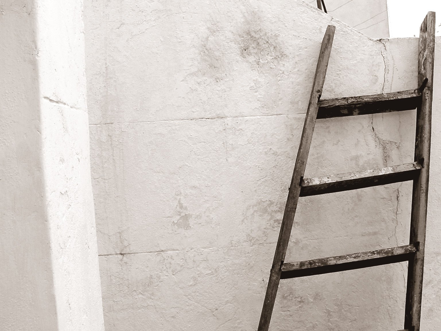 a ladder leaning against a wall as a bird flies overhead