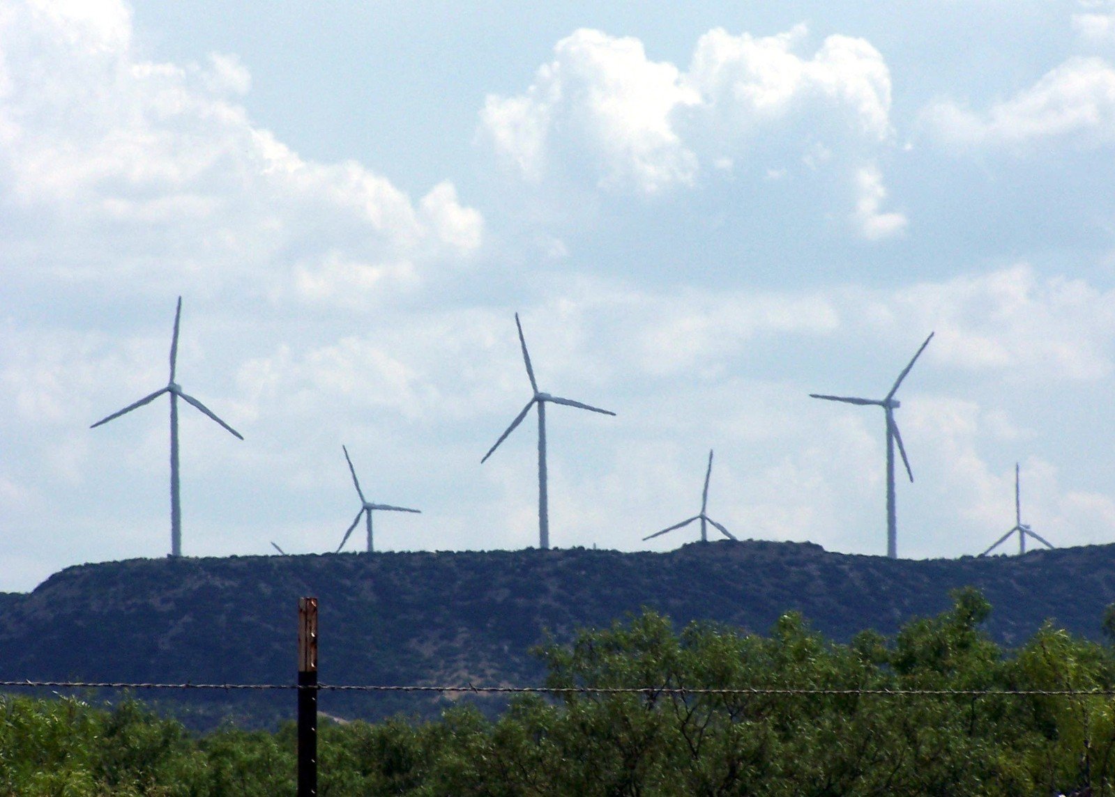 several wind turbines are visible above the brush