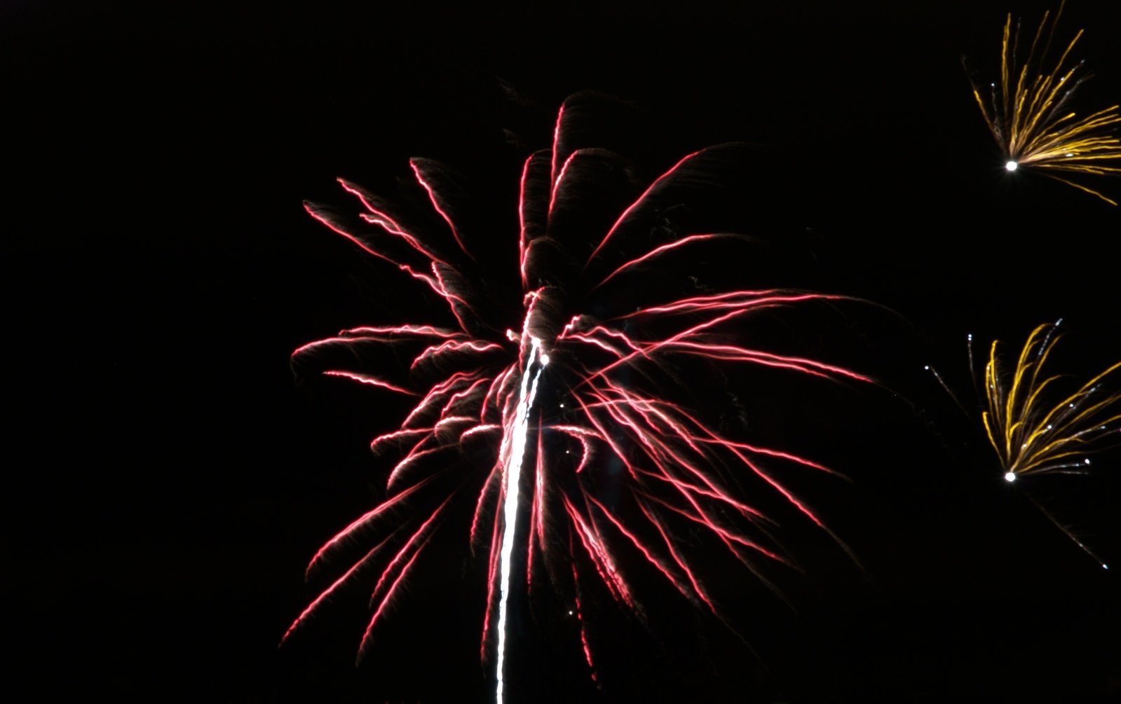 colorful fireworks light up the sky on a night