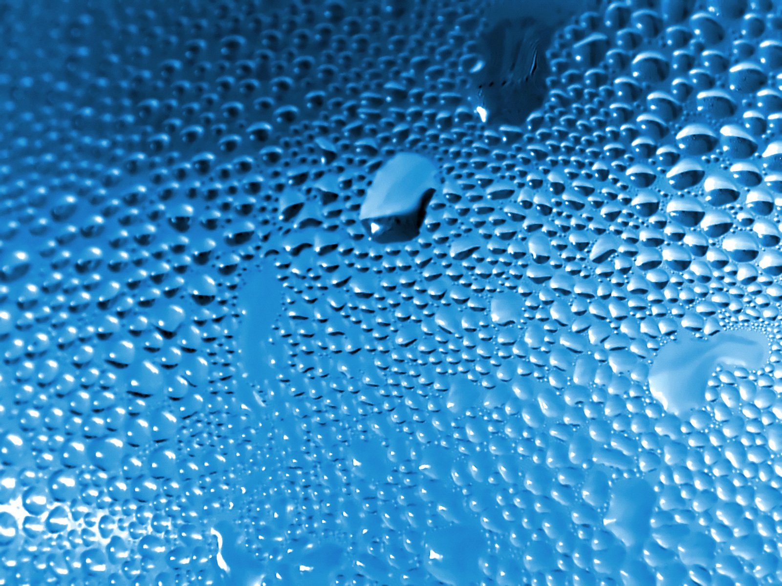 drops of water are shown in this pograph