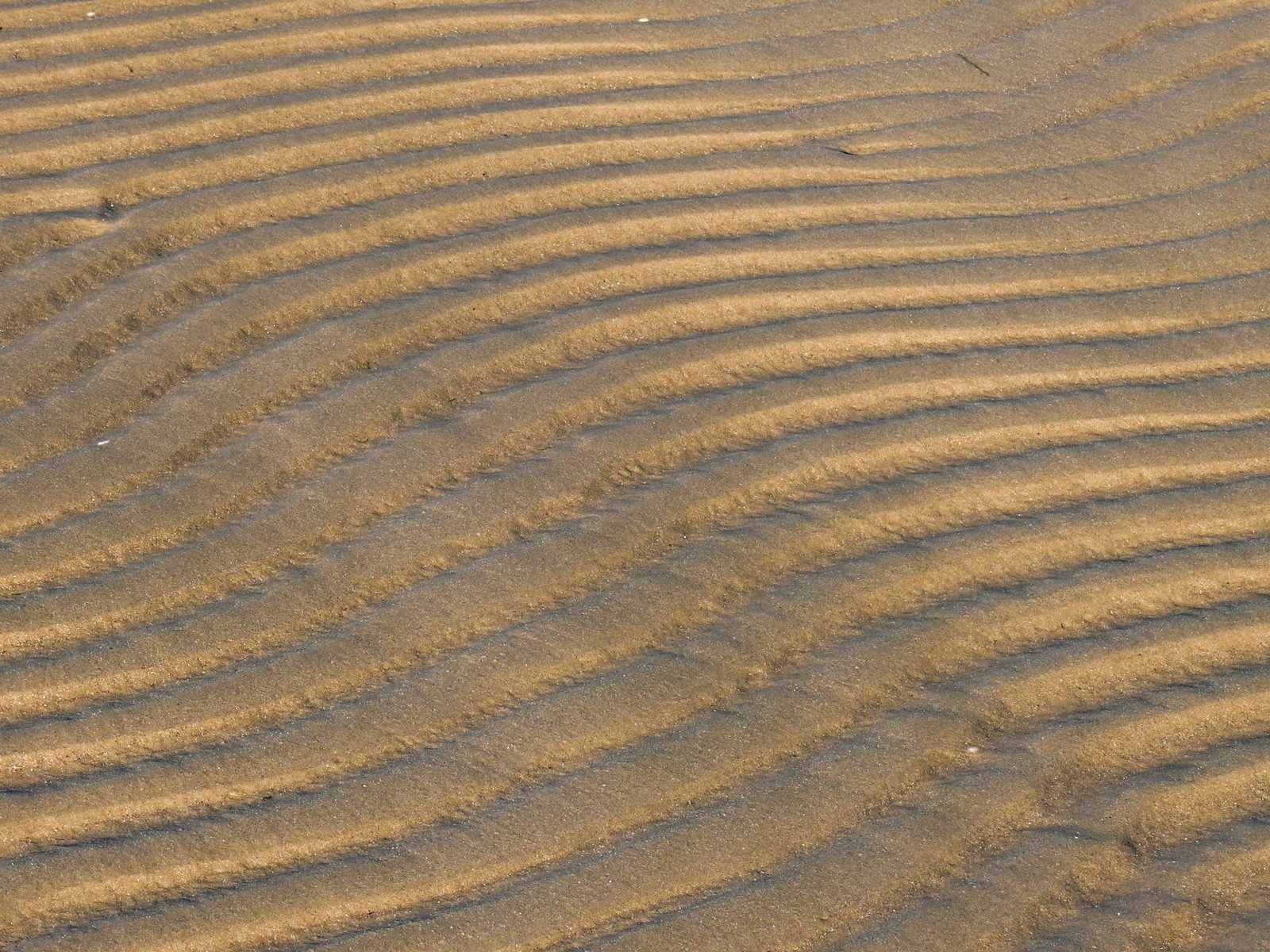 the sand in the desert is ridges