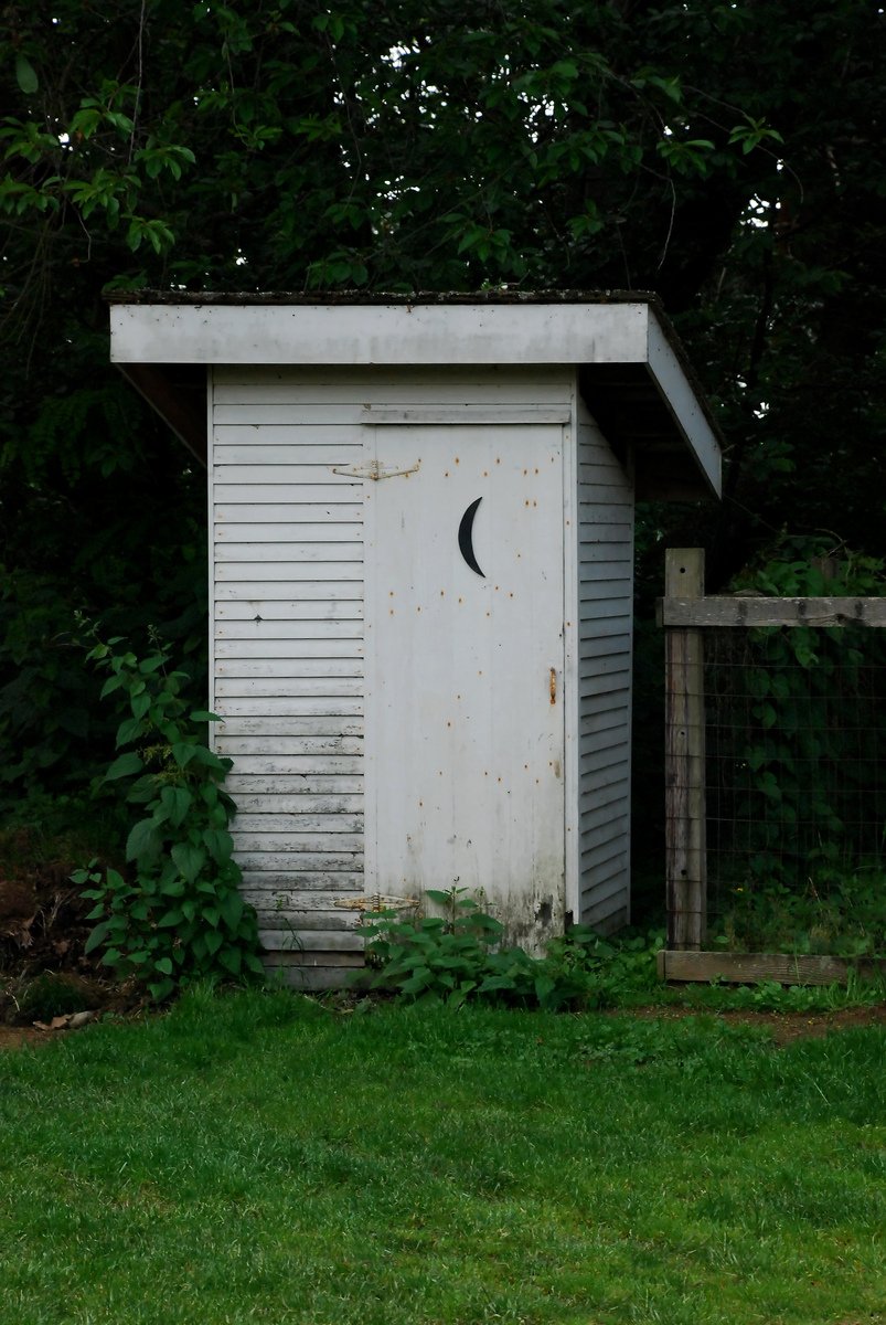 the outhouse is surrounded by some vegetation and trees