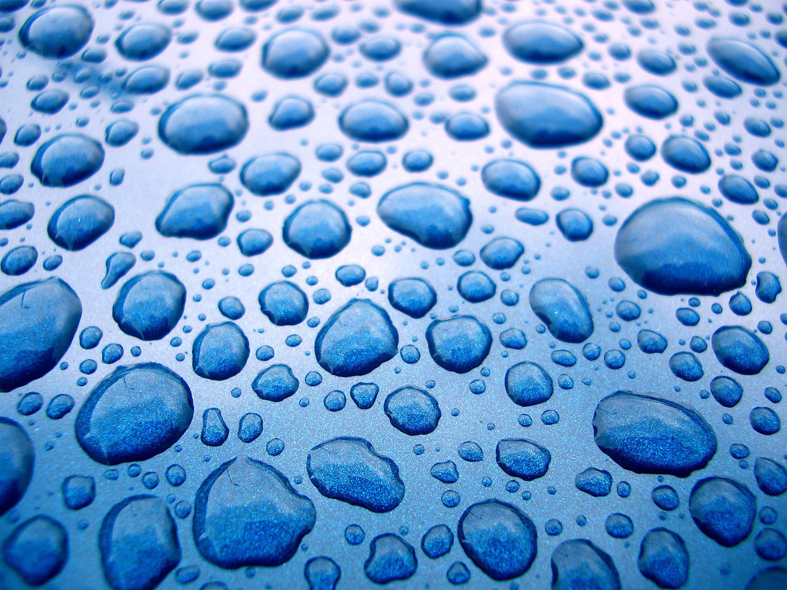 water droplets on a blue background