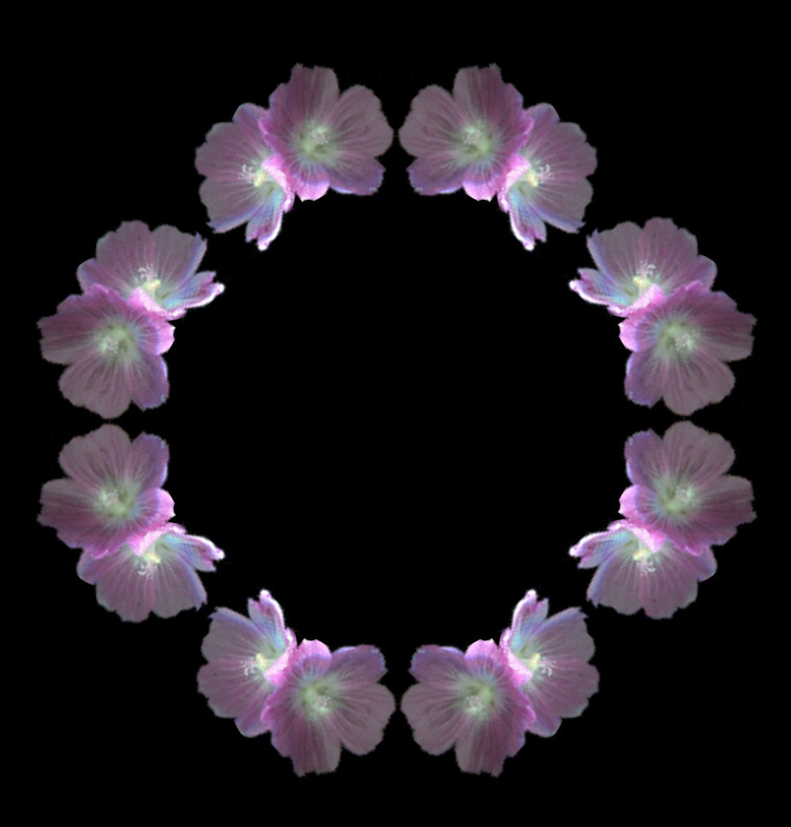 a large circle with flowers on it