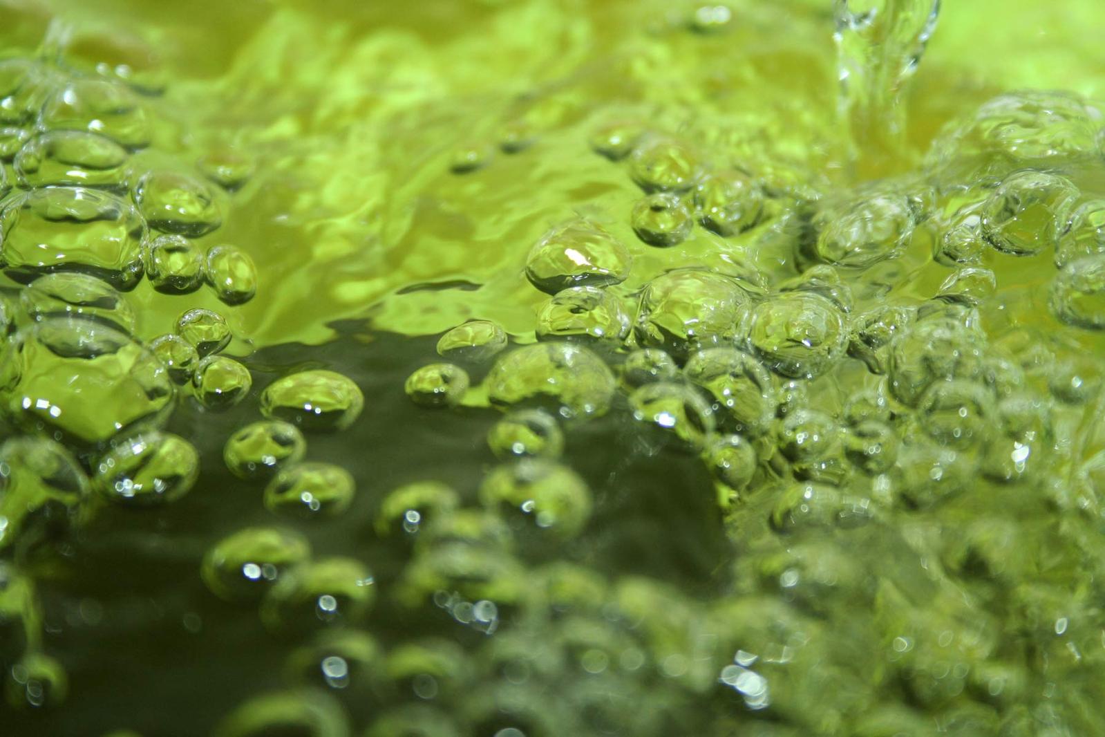 water drops are seen as a pattern in a green background