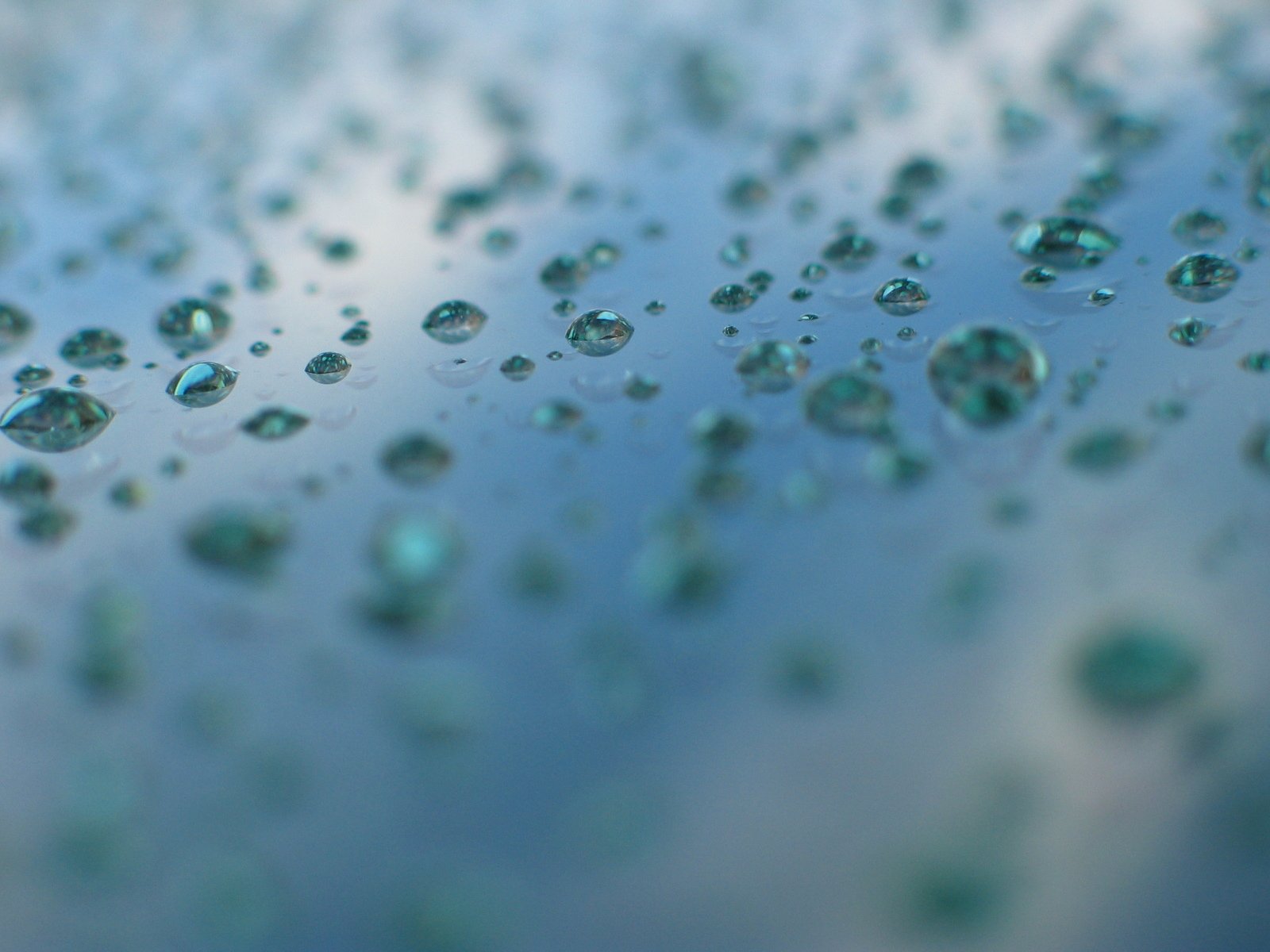 droplets of water are floating on the surface