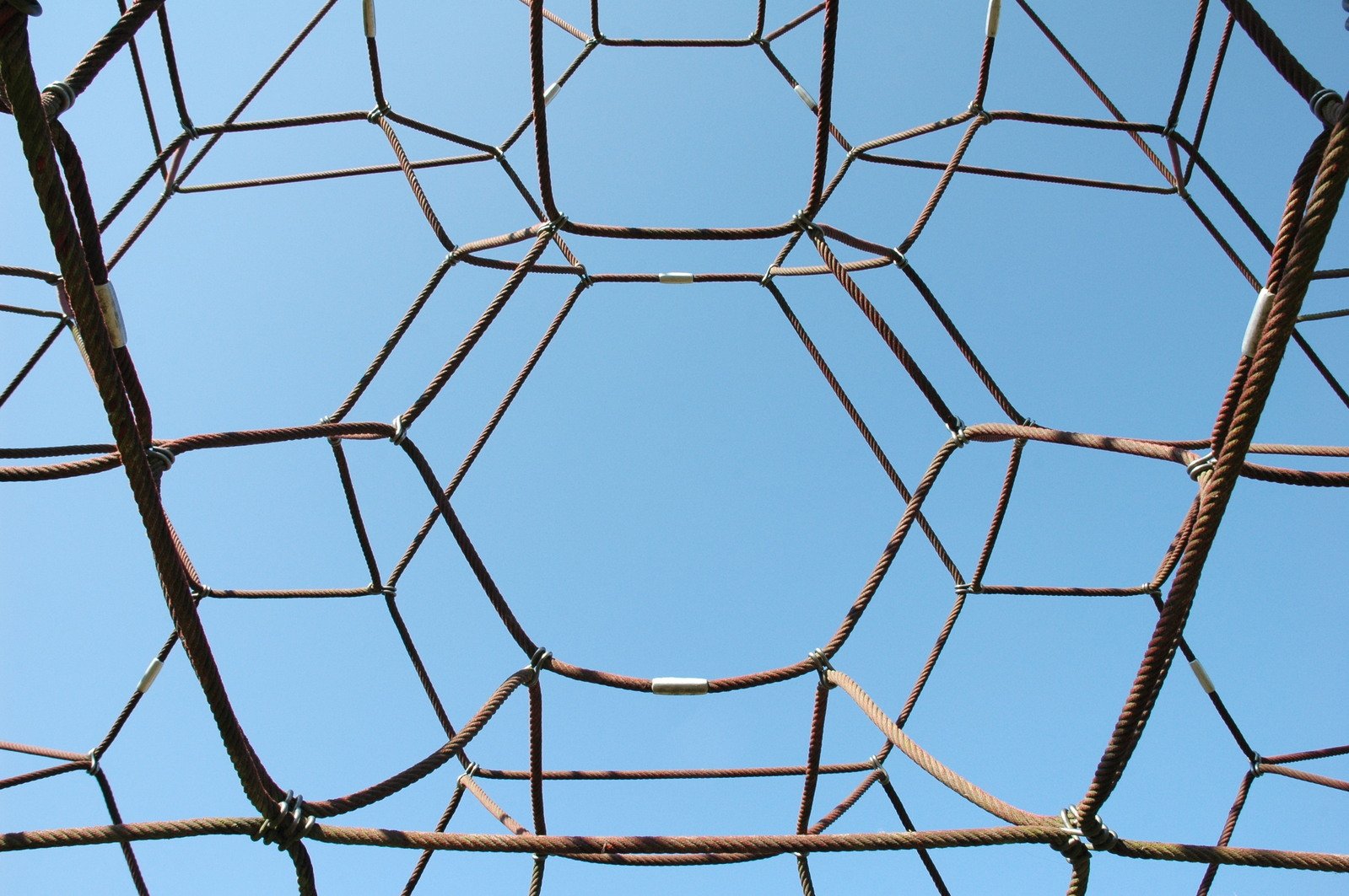 a net looking up at the sky with a bird