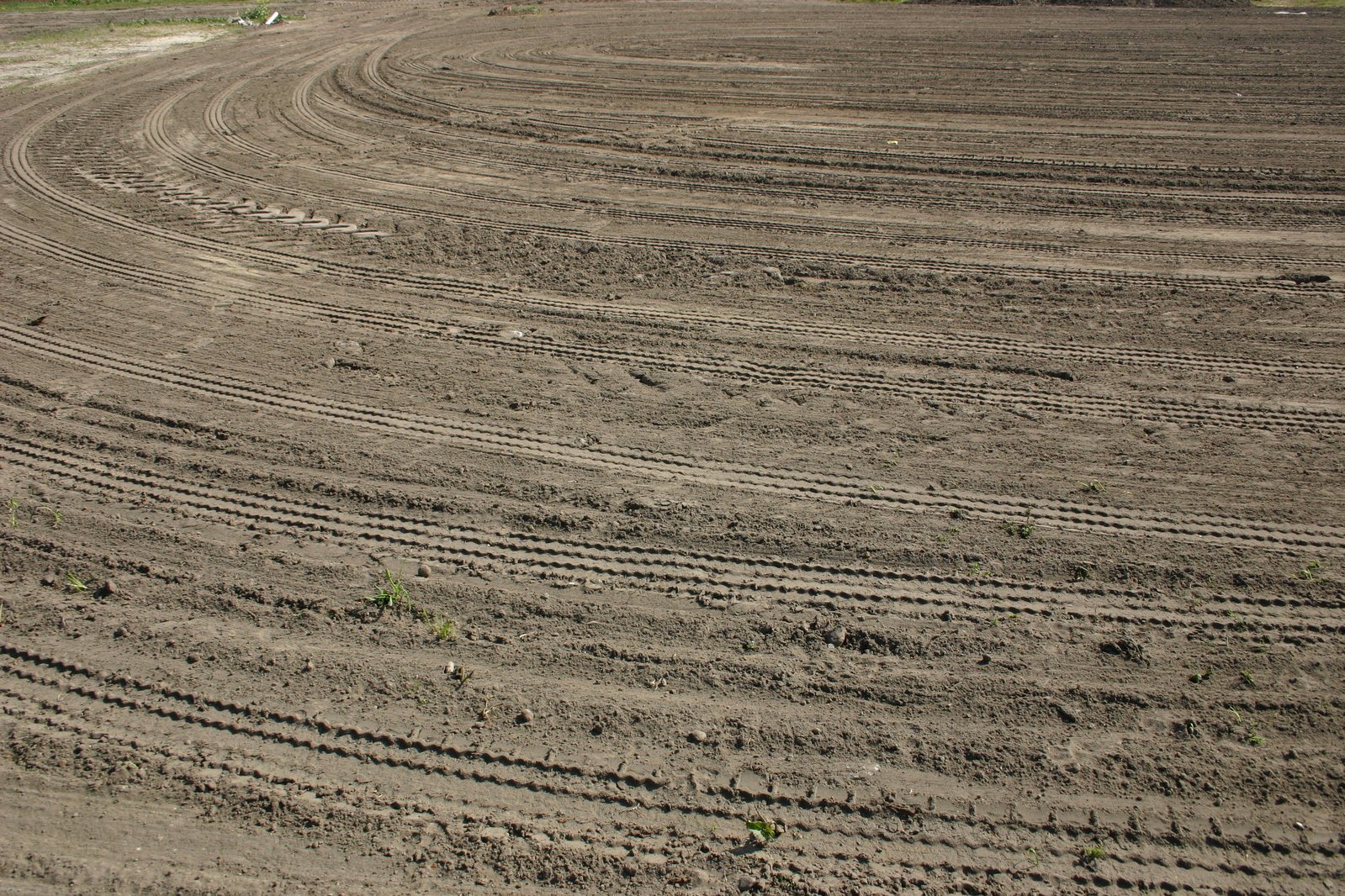 two ze standing in the middle of a plowed field