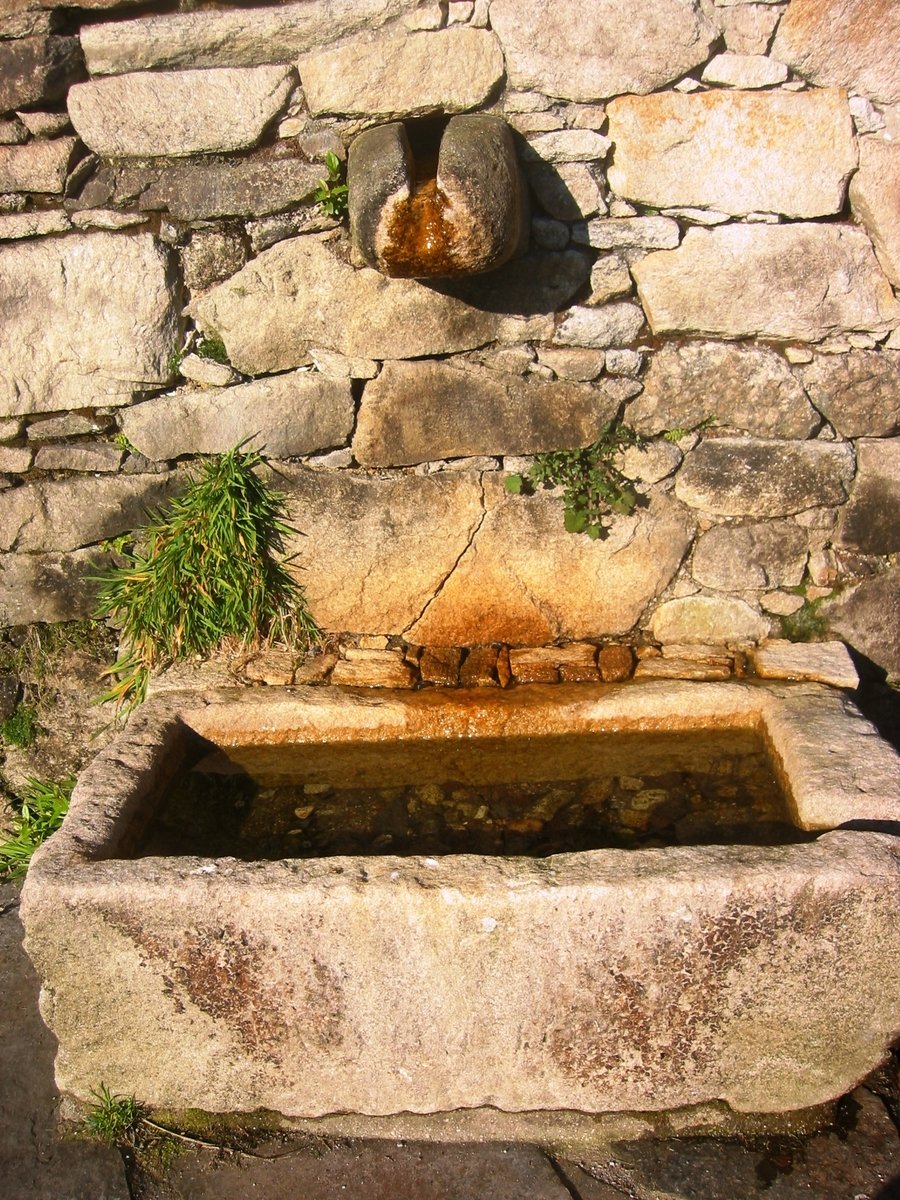 an old stone water trough with weeds growing on top