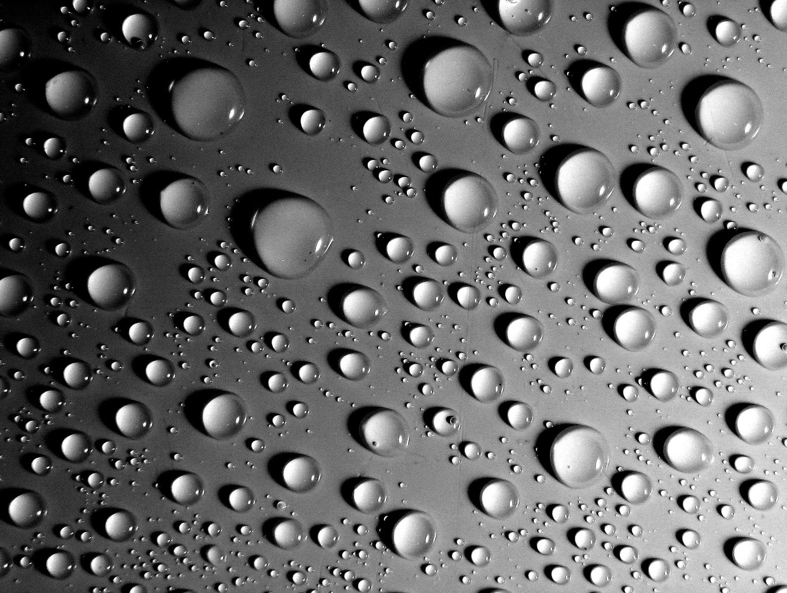 many water drops are shown on a glass window