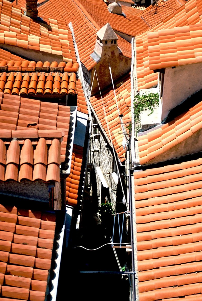 the roof of houses with tiled roofs are all red