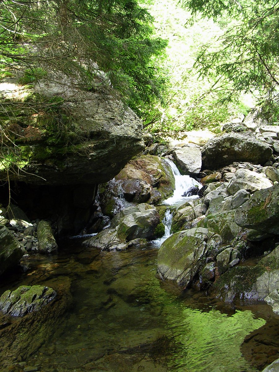 some rocks water and trees and a stream