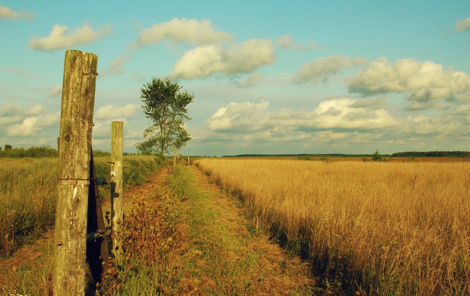 a wooden pole is by the side of a dirt road