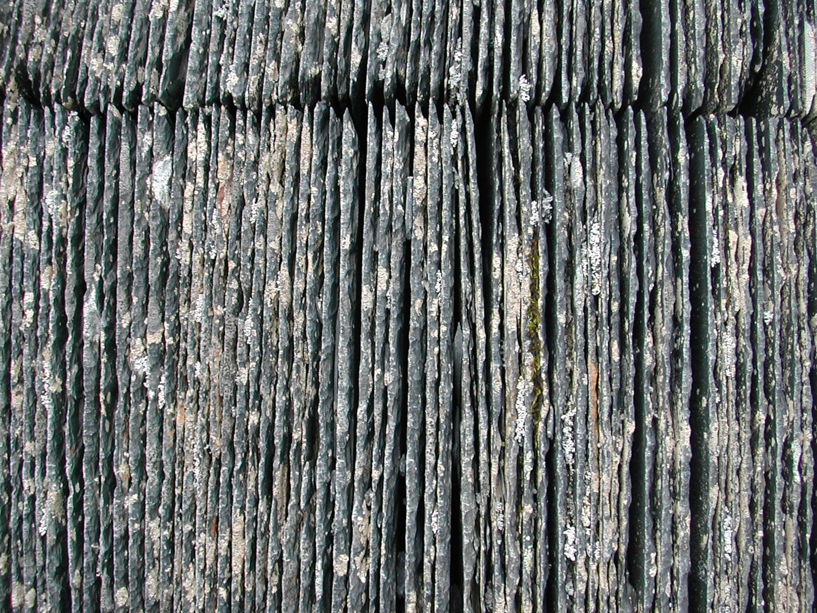 weathered wood paneled in with vertical ridges
