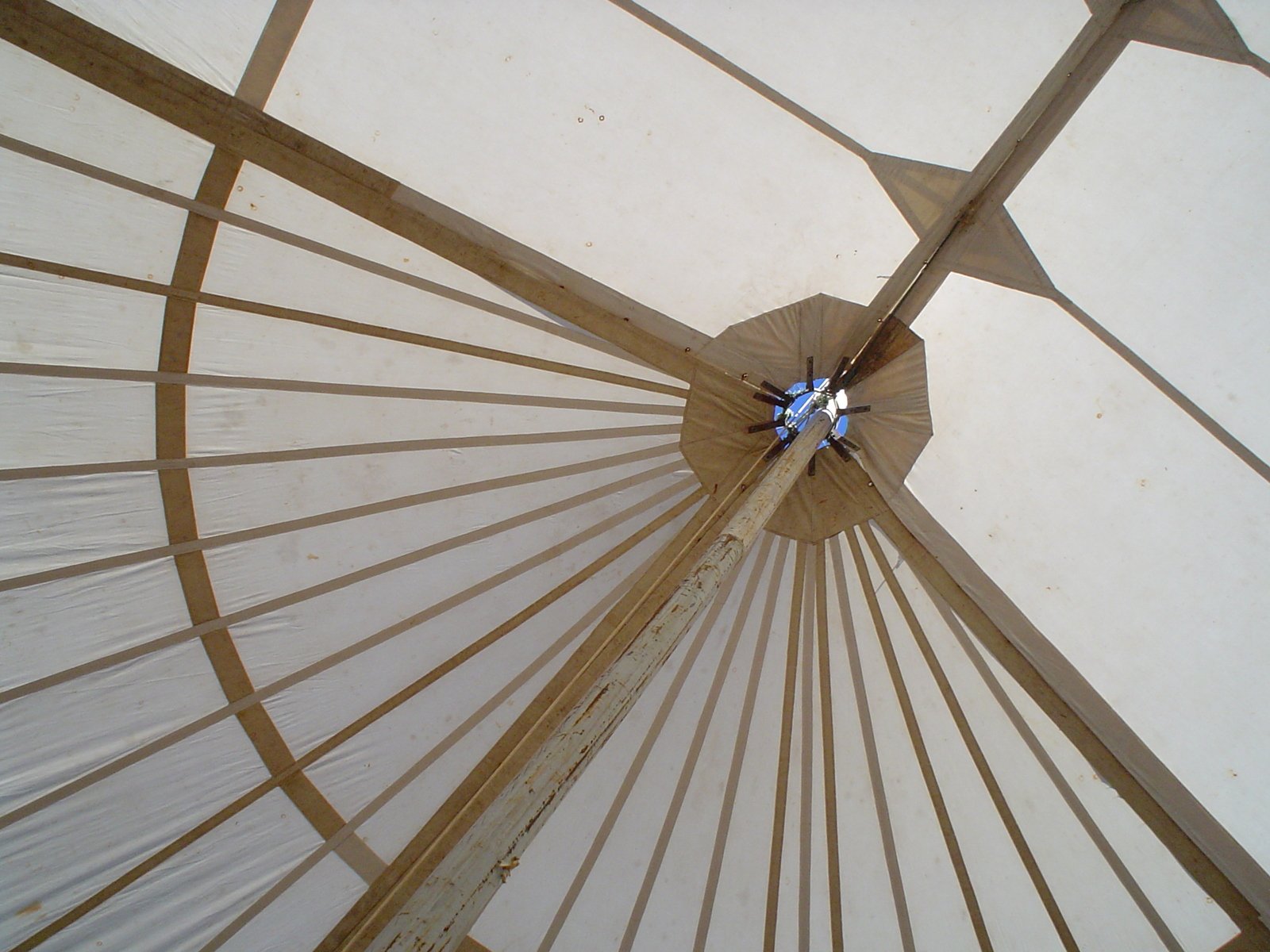 a close up of the underside of an umbrella