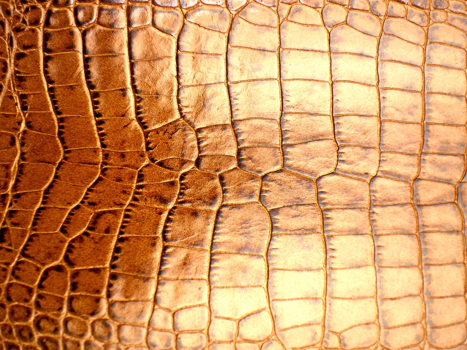 brown crocodile skin with some ridges