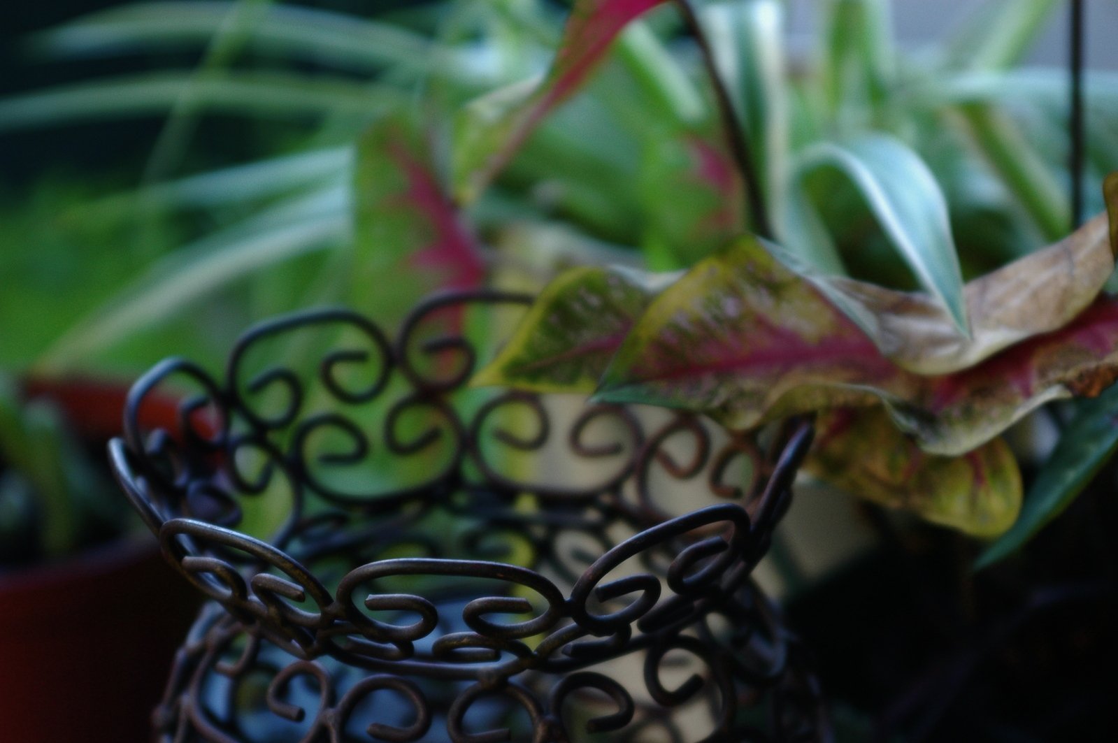 a wire basket on the ground beside a potted plant