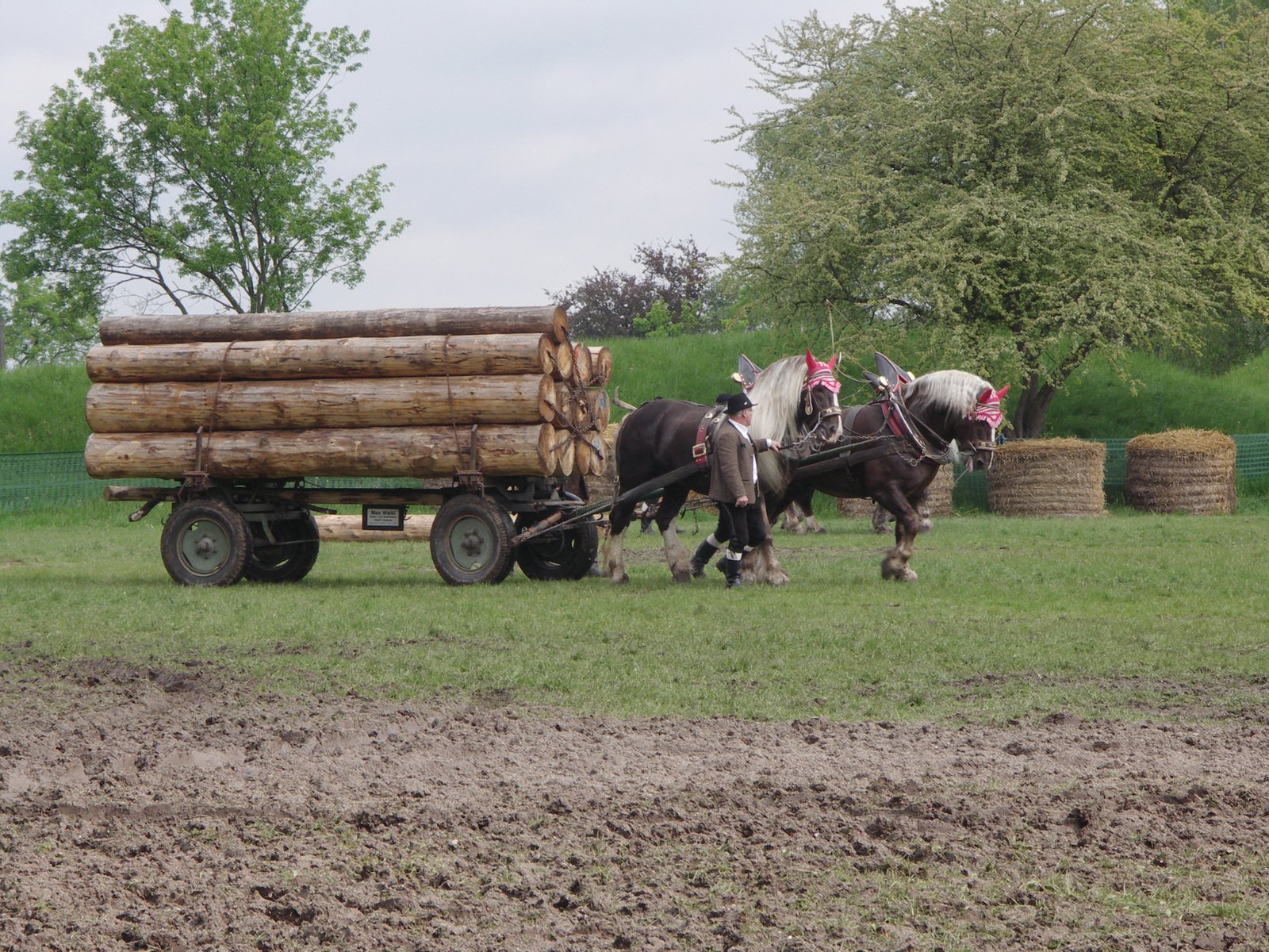 a couple of horses pulling a trailer loaded with logs