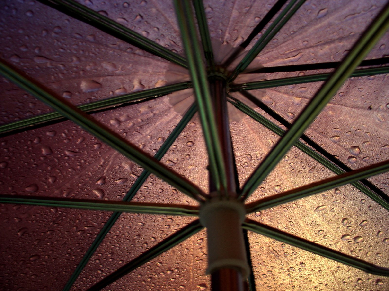 an umbrella with water droplets on it is shown