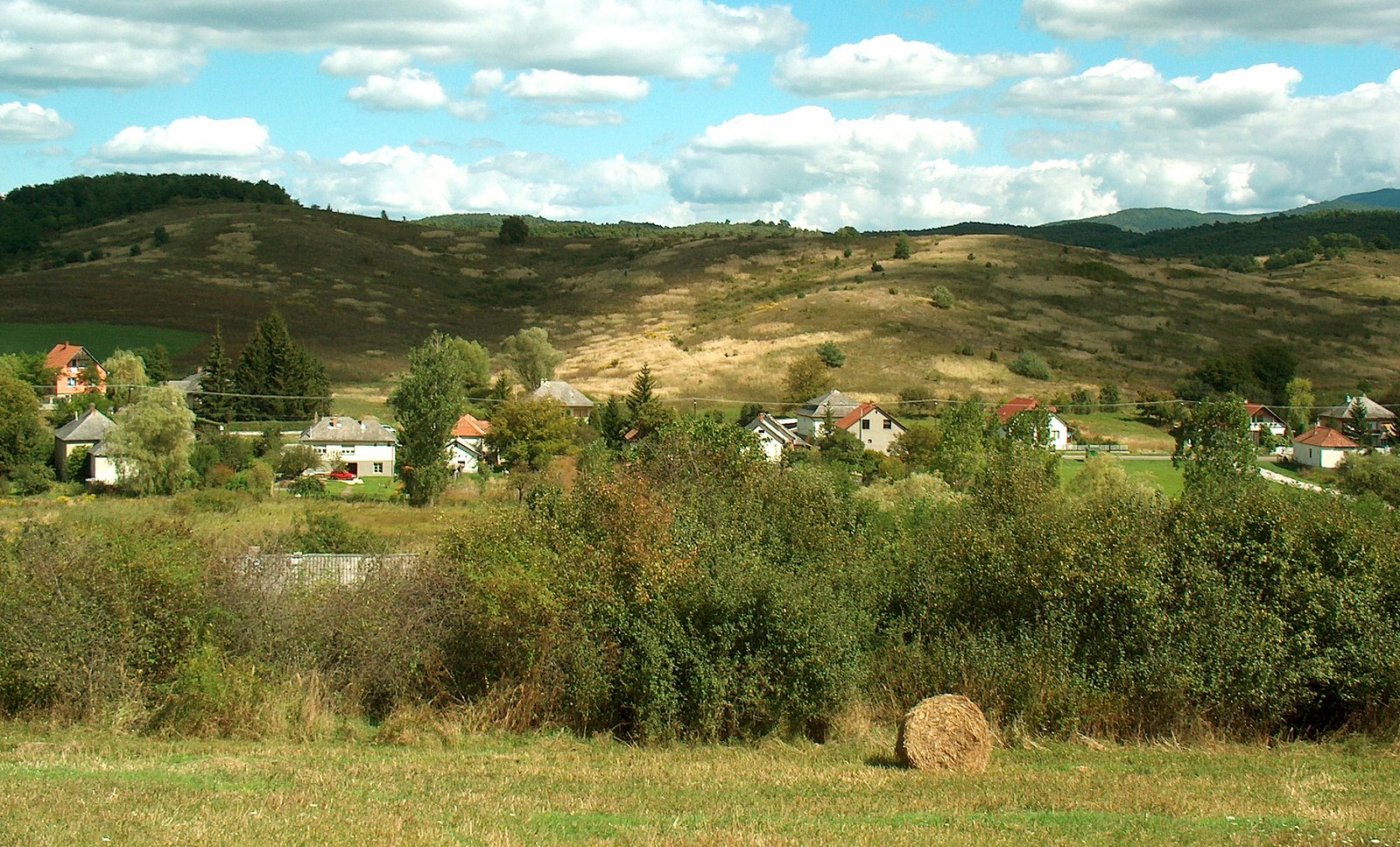 green grass and brown hills with houses in the background
