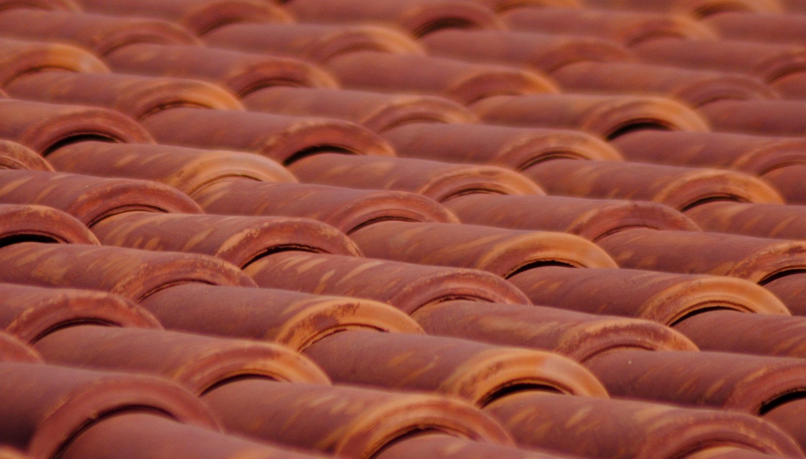 red tile roof top with a lot of round shaped tiles