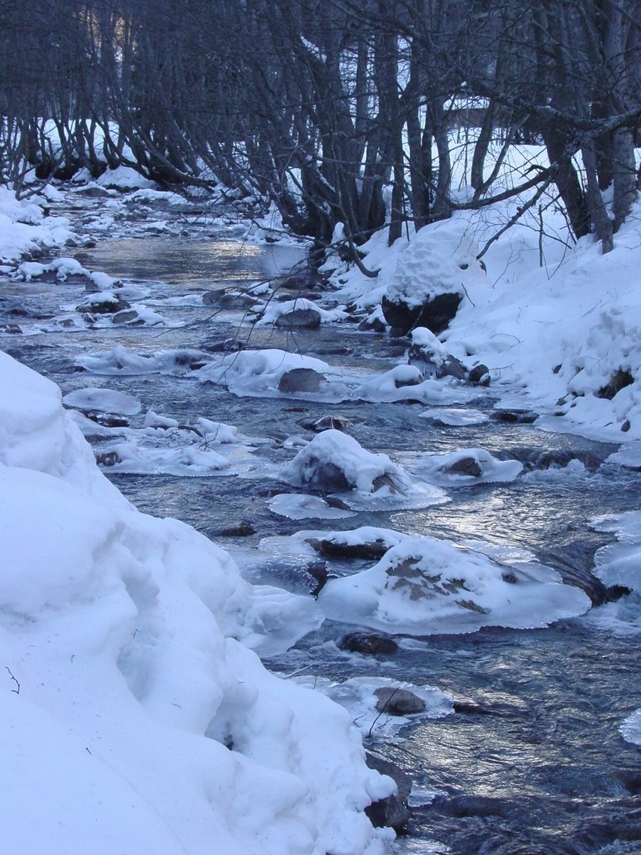 a river running through a snowy forest near the woods