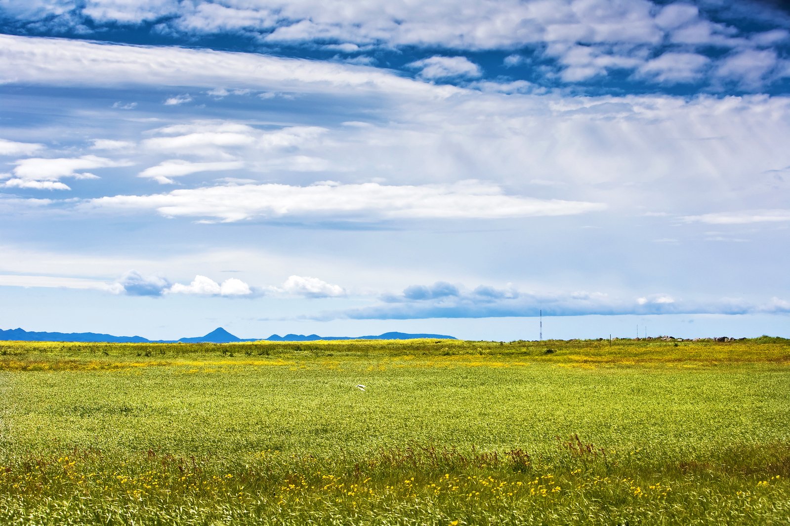 a green field with blue skies and white clouds