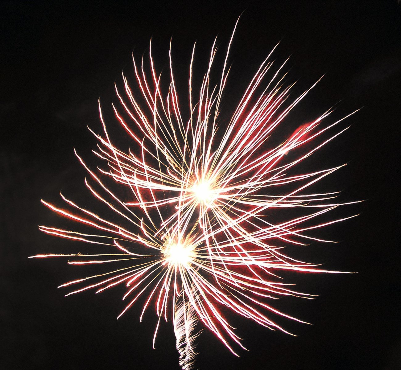 a large flower filled with lots of lit up firework